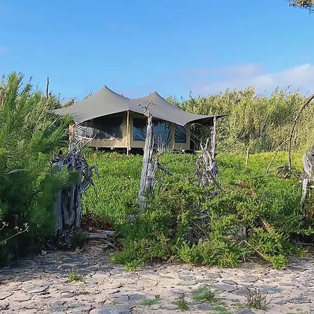 Villa Quaint, Chic And Artistic Seaside Villa